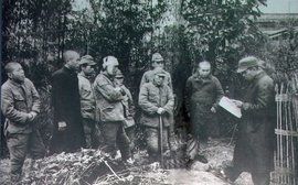 日軍師團 日軍師團