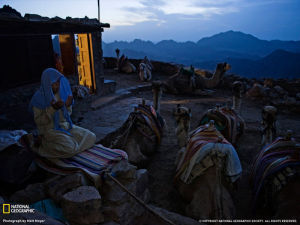 西奈山清晨的禱告者