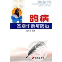 鴿病鑑別診斷與防治 鴿病鑑別診斷與防治
