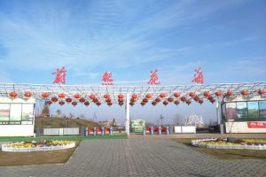 蔚然花海 蔚然花海