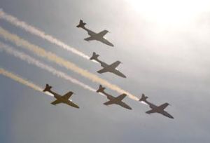 波蘭空軍火花飛行表演隊 波蘭空軍火花飛行表演隊