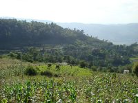 山邑寨自然村 山邑寨自然村