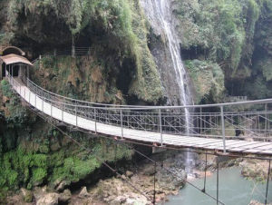 龍頭大山自然保護區 龍頭大山自然保護區