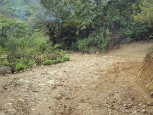 賀南中寨村 賀南中寨村