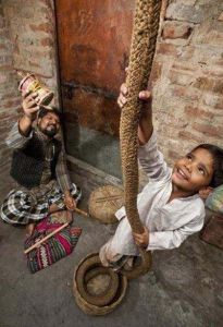 印度通天繩 印度通天繩