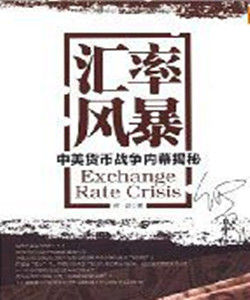 匯率風暴:中美貨幣戰爭內幕揭秘 匯率風暴:中美貨幣戰爭內幕揭秘