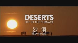 沙漠：火爐中的生活