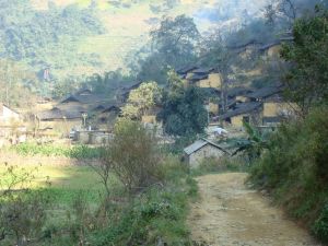 麻布沖自然村 麻布沖自然村