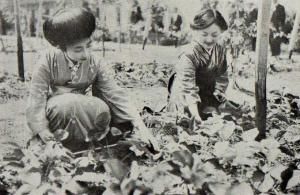 真宮理子女王 真宮理子女王