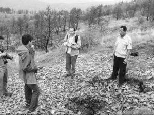 盛夏寒冰 盛夏寒冰