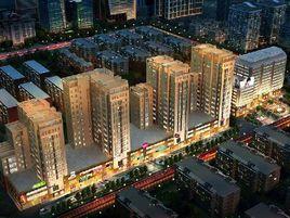 坎城35號 坎城35號