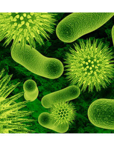 超級病菌 超級病菌