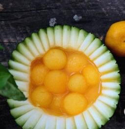 橙味冬瓜菊 橙味冬瓜菊