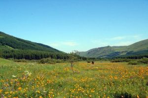 閃電河草原湖 閃電河草原湖
