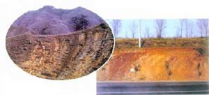 （圖）中元古代