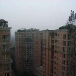 大地城市脈搏 大地城市脈搏