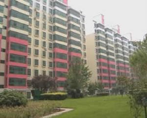 東明花園 東明花園