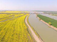 高郵湖灘郊野公園