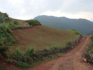 團山良子村 團山良子村