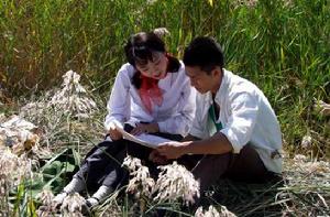 青穀子[2015年喬和平執導電視劇]