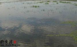 石人水庫 石人水庫