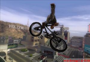 《托尼霍克滑板:美國荒野》