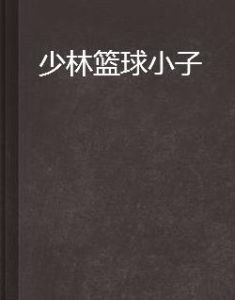 少林籃球小子