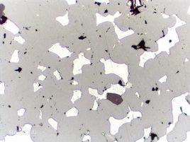 鳥眼構造 鳥眼構造