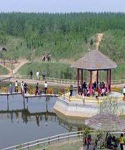 馬頰河森林旅遊度假村 馬頰河森林旅遊度假村