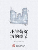 小雛菊綻放的季節