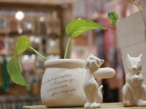 低配生活 低配生活