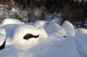 紅星火山地質公園 紅星火山地質公園