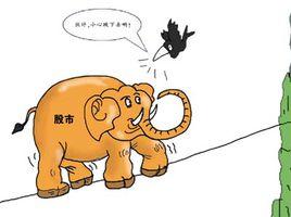 中小盤基金 中小盤基金