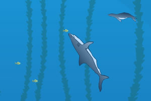 鯊魚捕食無敵版 鯊魚捕食無敵版