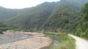 茂盛江村 茂盛江村