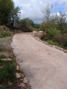 黃花自然村 黃花自然村