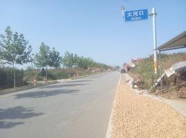 大河口村[山東省萊陽市萬第鎮大河口村]