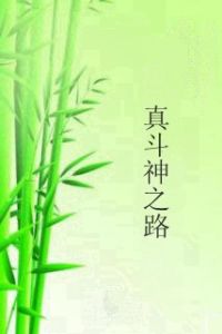 真斗神之路