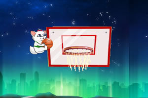 寵物籃球 寵物籃球