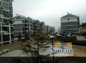 馬蘭花園 馬蘭花園