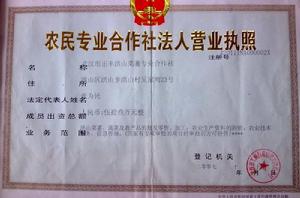 合作社法人 合作社法人