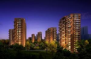 金成庭院深深 金成庭院深深