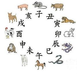 十二生肖適合的職業 十二生肖適合的職業