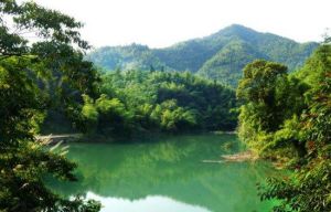 白雲森林公園 白雲森林公園