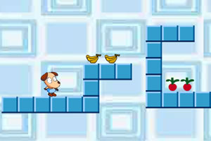 小狗樂托 小狗樂托