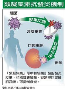 冷凝集素綜合徵