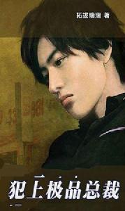 犯上極品總裁 犯上極品總裁