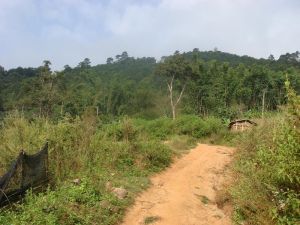 曼過田自然村 曼過田自然村