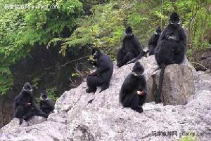 麻陽河自然保護區