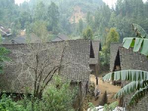 龍洋村[雲南省富寧縣板侖鄉龍洋村]
